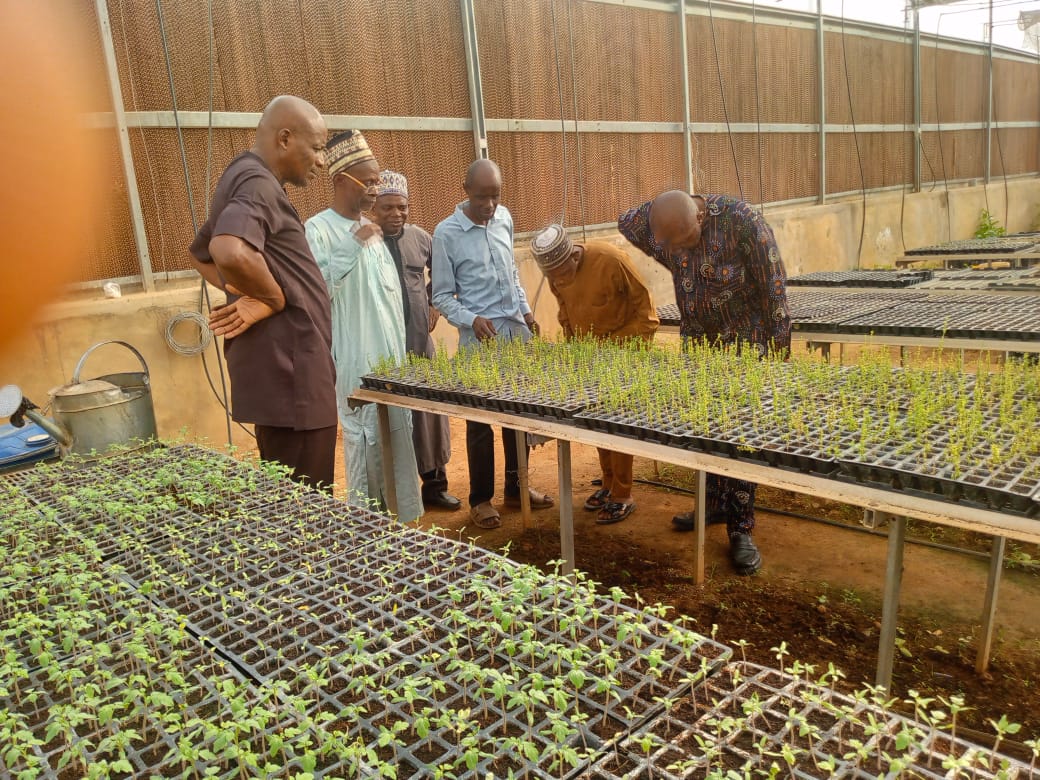 Members Observing the function of Nursery House at ADL BUK